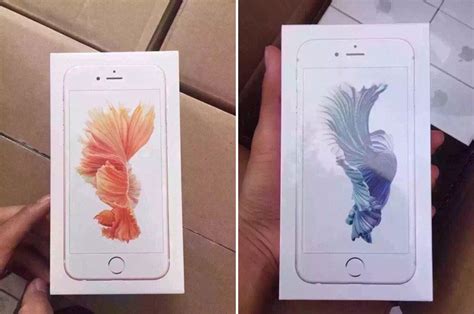 Free Download Keempat Model Iphone 6s Mengusung Wallpaper Wallpaper