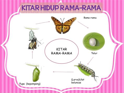 Mikroorganisme pada dasarnya sama dengan perkembangbiakan makhluk hidup yang lain, lain, yakni yakni proses paraseksual yang telah diketahui, yaitu transformasi, konjugasi, dan transduksi. Soalan Sains Tahun 5 Proses Hidup Haiwan - Malacca g