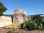 Ovid Winery A Napa Valley Winery Like Nothing You've Ever Seen | The ...
