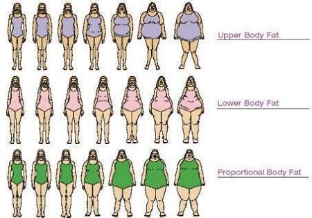 Body Types For Women Body Types Chart Type Chart Lower Body Fat