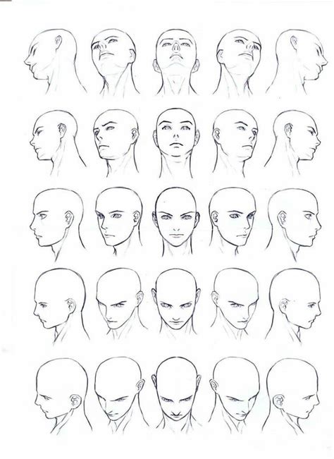 Male Face Anatomy Drawing Anime Bmp Pro