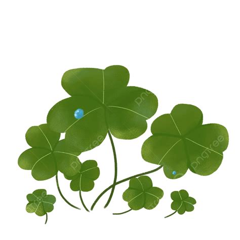 Lucky Clover Clipart Hd Png Clover Hand Painted Illustration Lucky