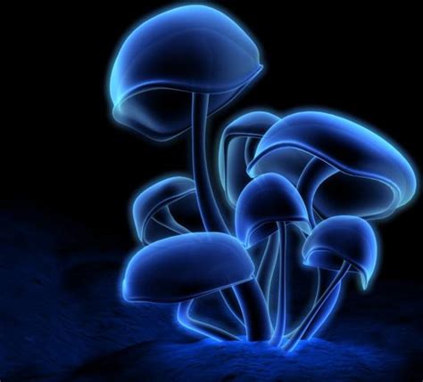 Free Download Mushroom Neon Live Wallpaper Screenshot 480x800 For