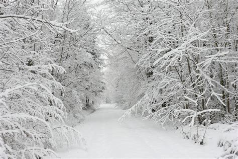 Winter Snow Background Pictures