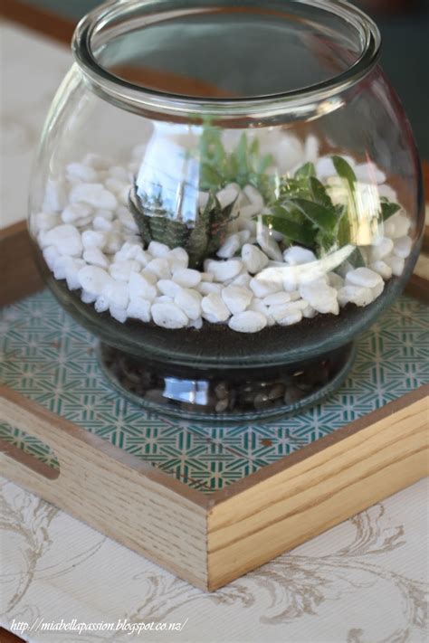 Diy Coffee Table Succulent Bowl