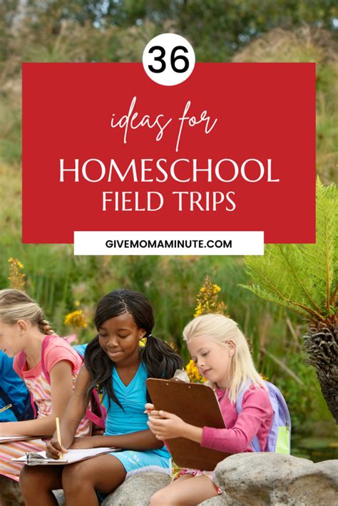 36 Field Trip Ideas For Homeschoolers Give Mom A Minute