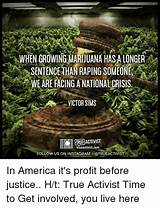 Growing Marijuana For Profit Pictures