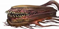 D&D Anatomy 5 Facts About Mimics You Should Know