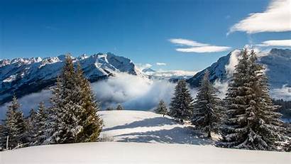 Snow Fog Snowy Mountains Salju Gunung Spruce