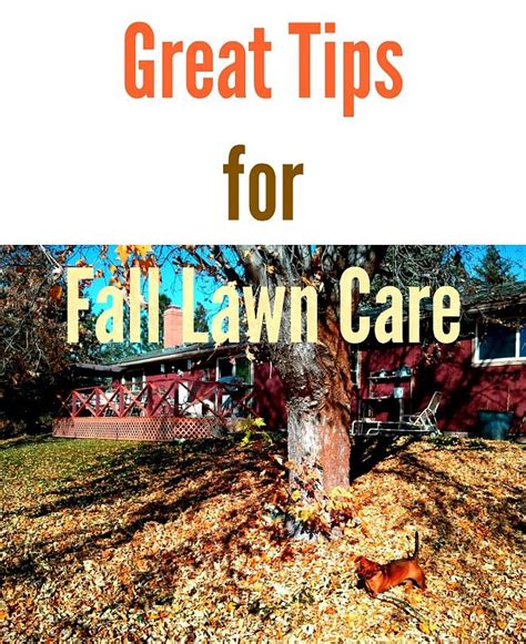 Great Tips For Fall Lawn Care Urbannaturale Fall Lawn Care Fall