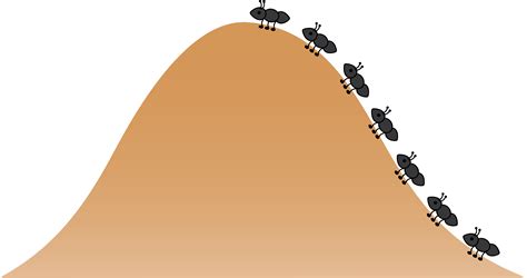 Ant Hill Clipart Clipground