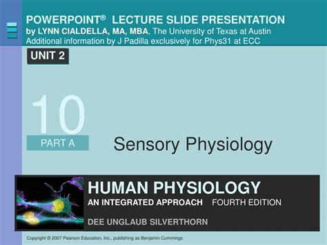 Ppt Sensory Physiology Powerpoint Presentation Free Download Id