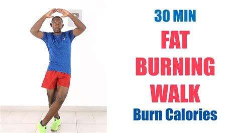Fat Burning Walk At Home Workout For Total Beginners Low Impact No