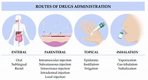 Classification of routes of drugs administration. | Download Scientific ...