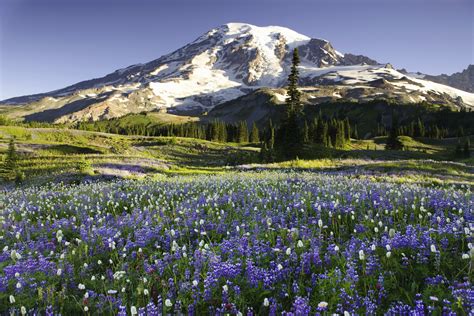 Top 12 Washington State Attractions