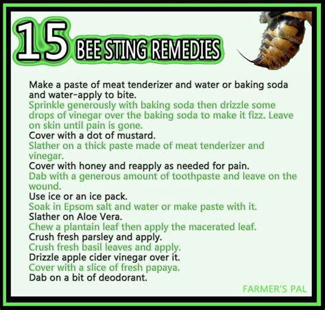 15 Bee Sting Remedies With Images Remedies For Bee Stings Bee Sting Remedies