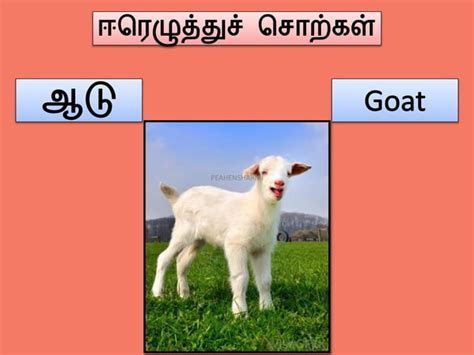 Tamil Double Letter Words Ppt