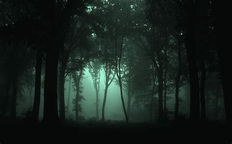 Landscapes Forest Fog Dark Wallpaper 1920x1200 31244 Wallpaperup