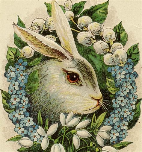 Easter Bunny Vintage Postcard Circa 1910