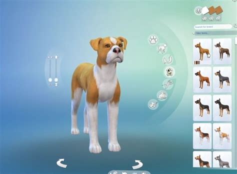 Cats And Dogs Sims 4