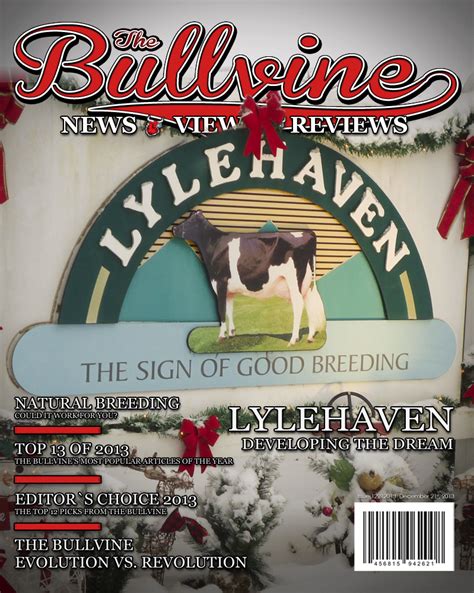 Bullvine Cover 12 21 2013