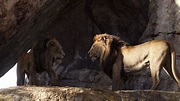Mufasa (2019 film) | The Lion King Wiki | Fandom