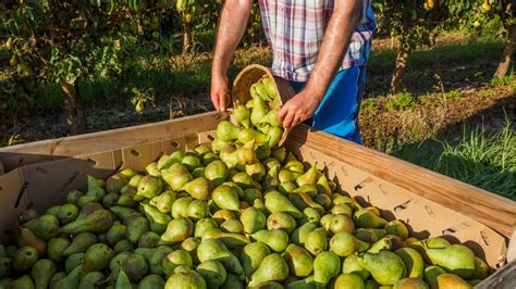 Simple Science: How to Make a Volcano with Kids