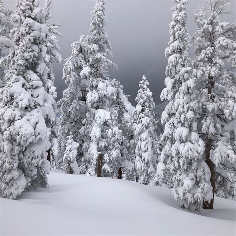 December And Other Legendary Snowfall Records Sierra Ski Cycle Works