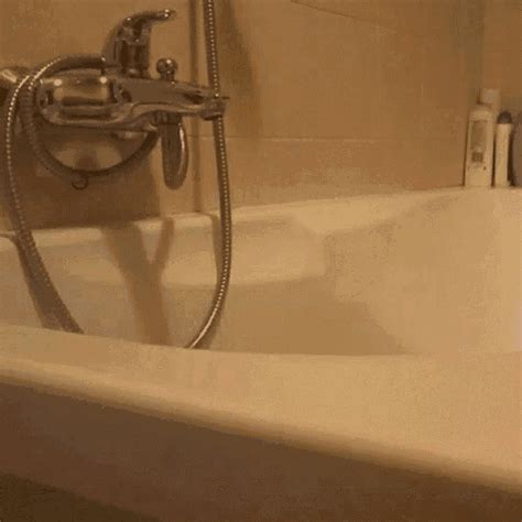 Cat Bathtub GIF Cat Bathtub Silly Discover Share GIFs