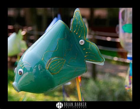 Soda Bottle Fish Photo By Photographer Brian Barker Diy Plastic