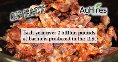 14 Savory Bacon Facts