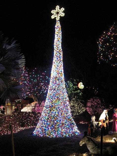 19 Best Outdoor Christmas Tree Decor Images On Pinterest