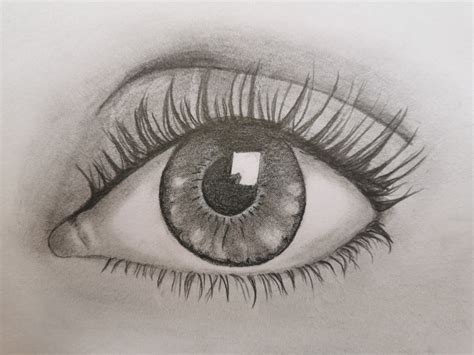 Dibujo De Ojo Humano Realismo Pintar Ojos Dibujos Dibujos De Ojos