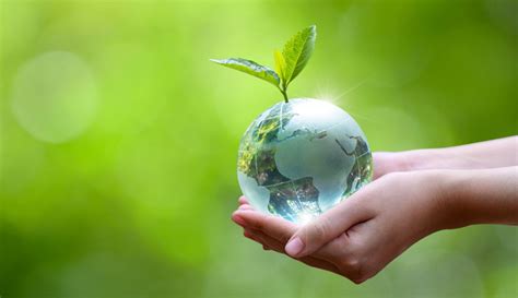 Día De La Tierra Las 10 Acciones Que Te Pueden Ayudar A Cuidar El Planeta