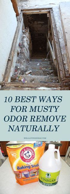 Check Out Our Guide To Best Deal With A Musty Smell In Your House How