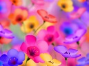 50 Beautiful Flower Wallpaper Images For Download