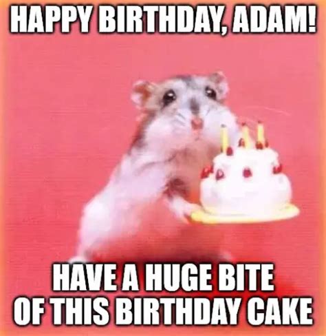 Happy Birthday Adam Wishes Images And Memes For Him