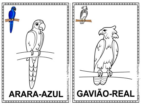Animais Em Extinção No Brasil Para Colorir