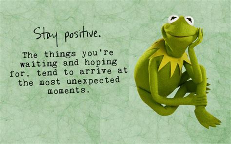 Quote About Frogs Cute Frog Quotes Quotesgram You Can Also Search