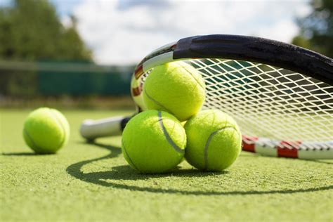 C 23 по 29 февраля в столице катара дохе пройдёт турнир qatar total open 2020. Zomer tennis toernooi - Zon en Wind