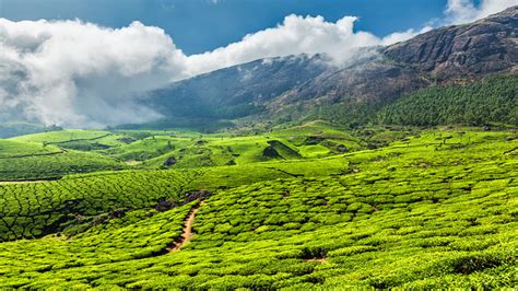 Kerala holidays in 2021 kerala bank holidays 2021 national & regional public holidays of kerala in 2021 destinations to spend holidays in.the list includes all public, banks, regional, and national holidays in kerala in 2021. Magic of Kerala- 11 Night Tour Package
