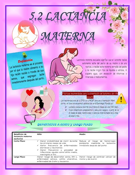 Lactancia Materna Composici N Factor Inhibidor De La Lactancia