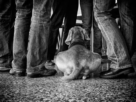 Laila ist da immer sehr aufgeregt, obwohl wir auch ein pferd. geschlossene Gesellschaft Foto & Bild | archiv ...