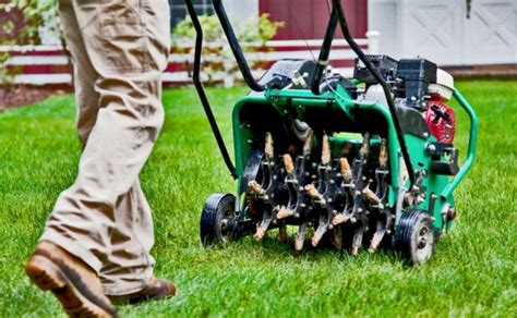 Benefits Of Core Aeration Clean Cuts Of Saint Augustine