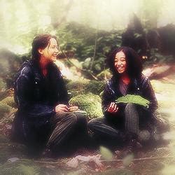 Pelicula los juegos del hambre:lo que en el pasado fueron los estados unidos, ahora es una nación llamada panem: Mi opinión atrasada de Los juegos del hambre (la película ...