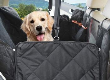 The norton back seat hammock cover is a great way to keep your car clean and your dog safe. 10 Best Dog Car Hammocks of 2020 - Reviews & Top Picks ...