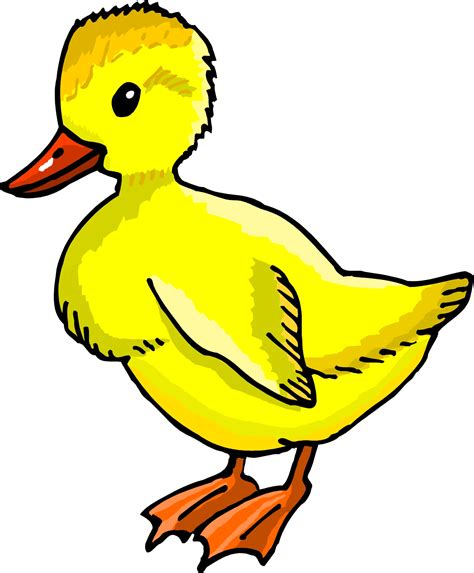 Duckling Clip Art Clipart Best