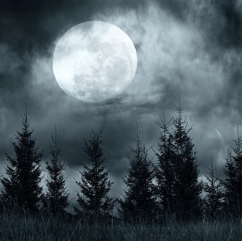 Full Moon Mysterious Night Photograph By Perfect Lazybones