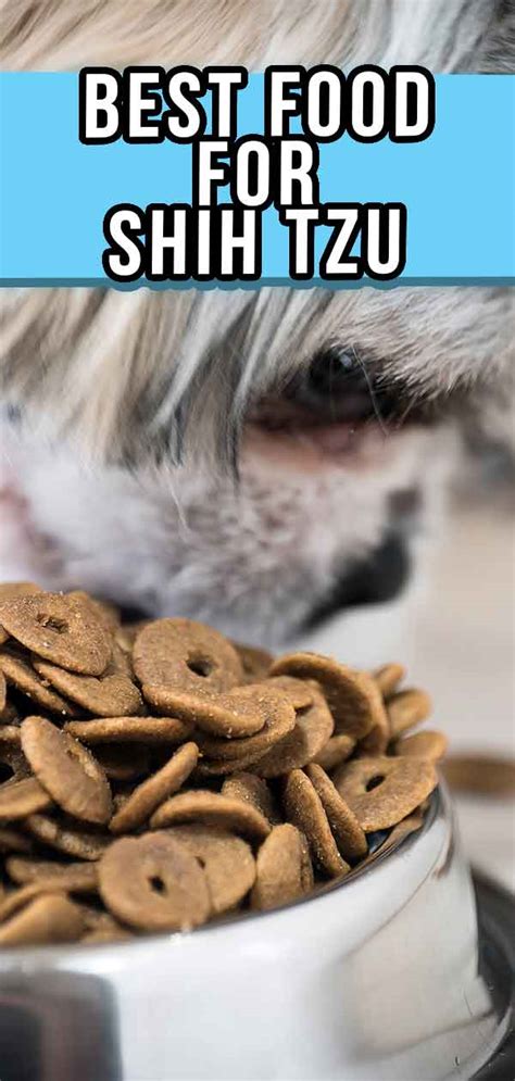 Here's how to pick good senior dog foods for health and longevity. Best Dog Food For Shih Tzu Puppies, Adults, And Senior Dogs