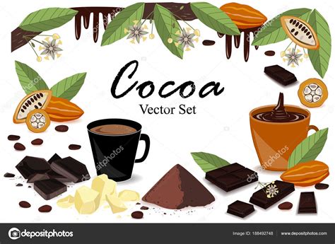 Banner With Super Food Cocoa Collection Pod Beans Cocoa Butter